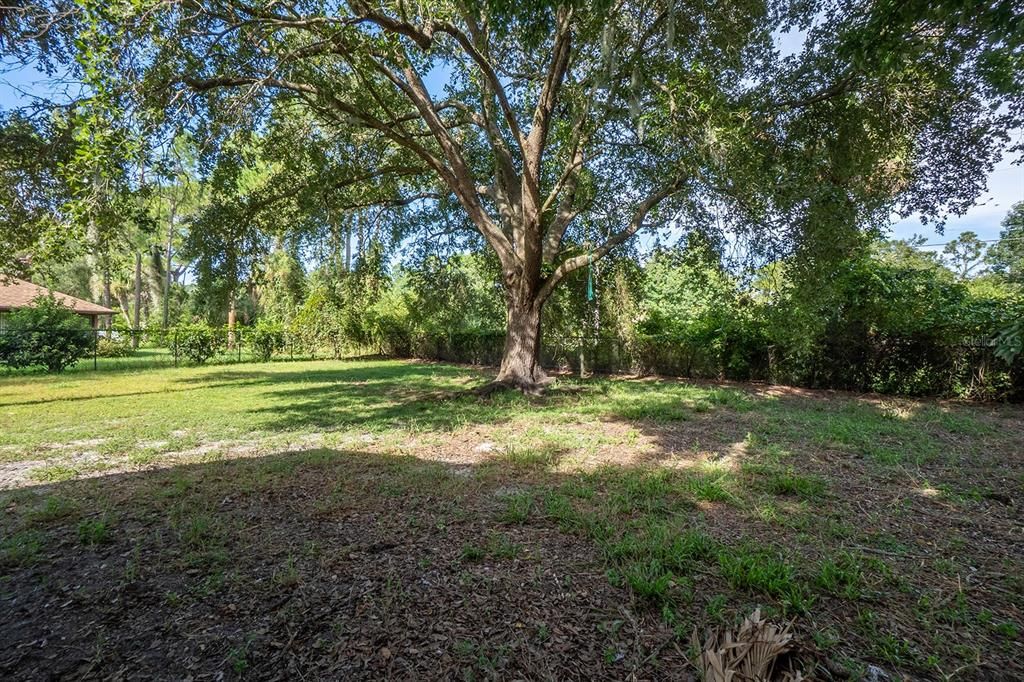 На продажу: $289,000 (3 спален, 2 ванн, 1428 Квадратных фут)