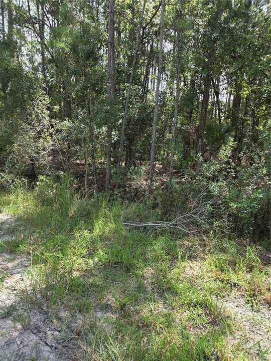 En Venta: $29,000 (0.23 acres)