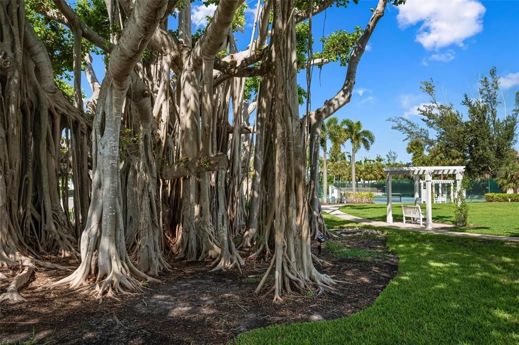 For Sale: $4,195,000 (3 beds, 4 baths, 3384 Square Feet)