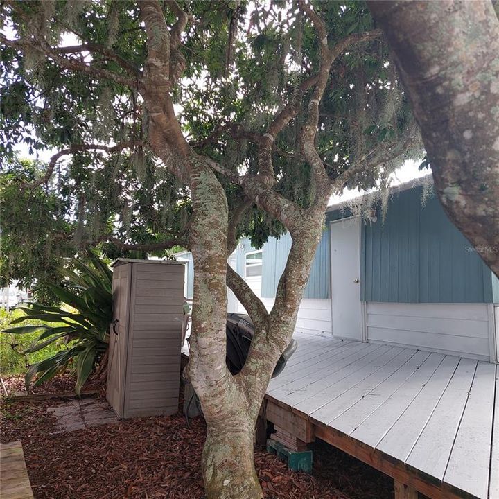 For Sale: $310,000 (2 beds, 2 baths, 1368 Square Feet)