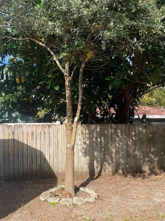 En Renta: $3,300 (3 camas, 2 baños, 1866 Pies cuadrados)