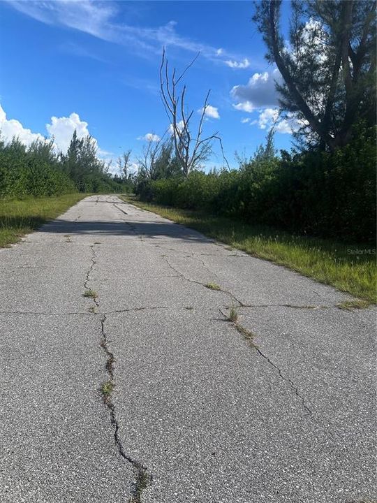 For Sale: $26,500 (0.31 acres)