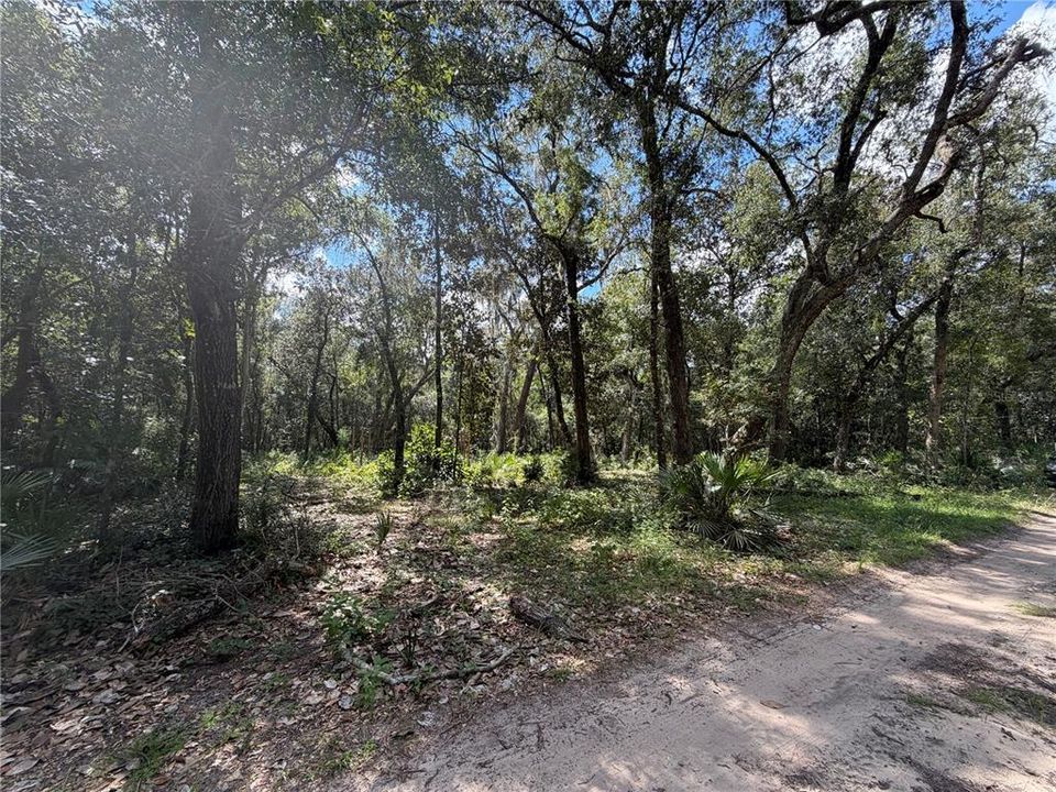 En Venta: $15,000 (0.18 acres)