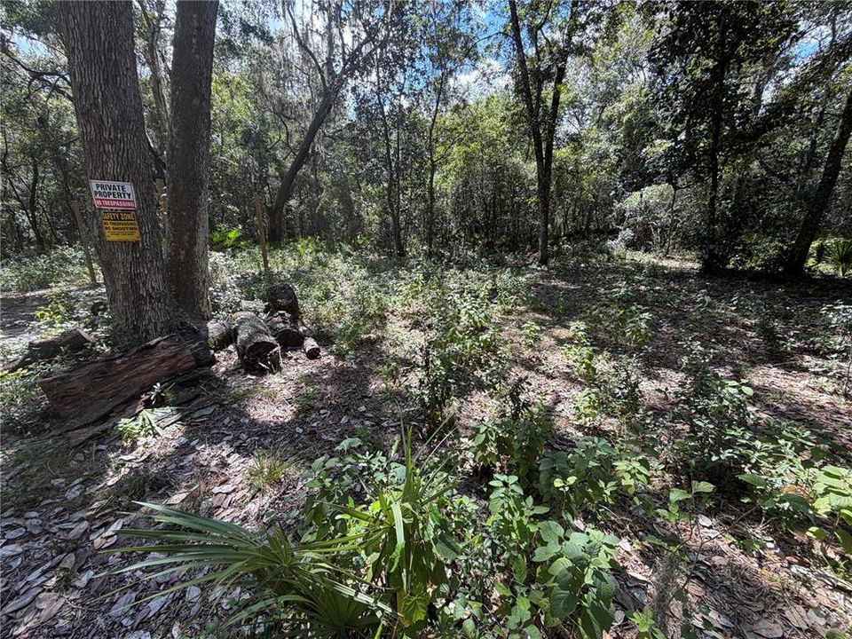 En Venta: $15,000 (0.18 acres)