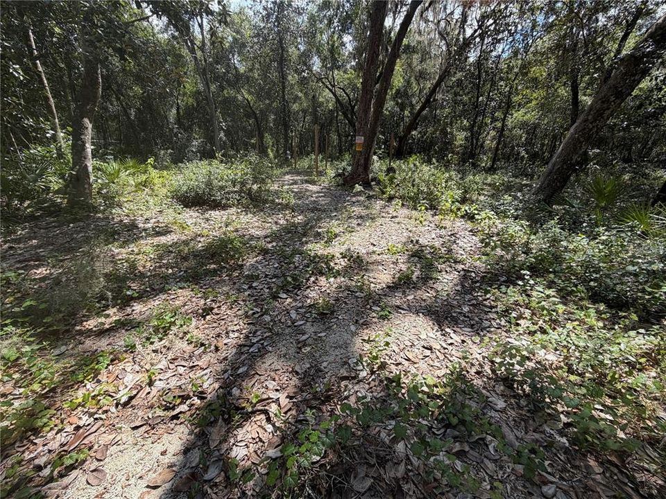 En Venta: $15,000 (0.18 acres)