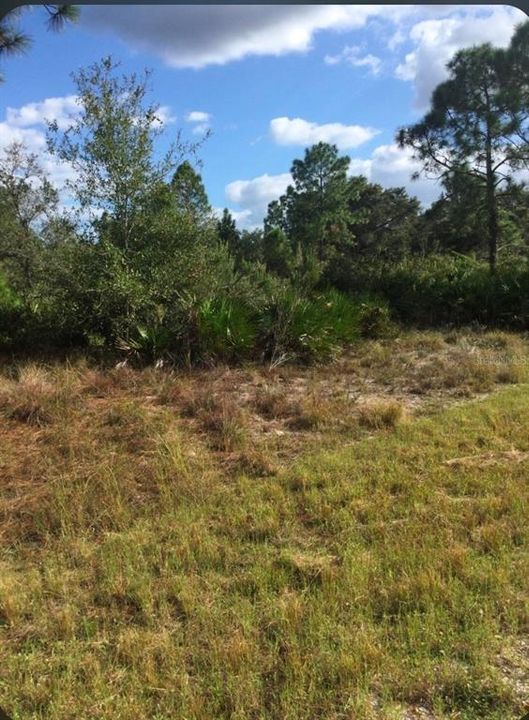 For Sale: $36,000 (0.50 acres)