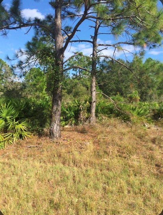 For Sale: $36,000 (0.50 acres)