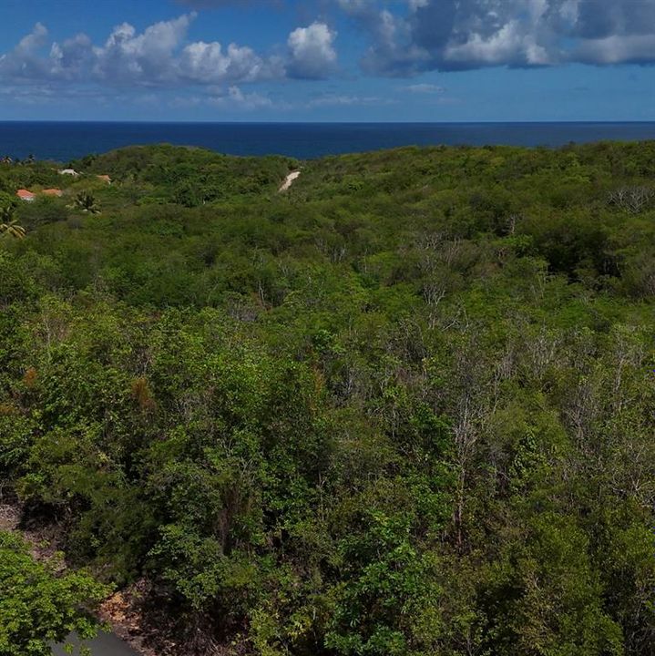 En Venta: $250,000 (2,016.00 acres)