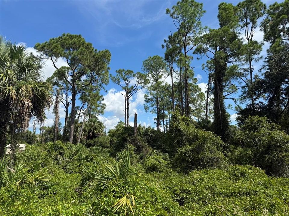 На продажу: $74,900 (0.80 acres)
