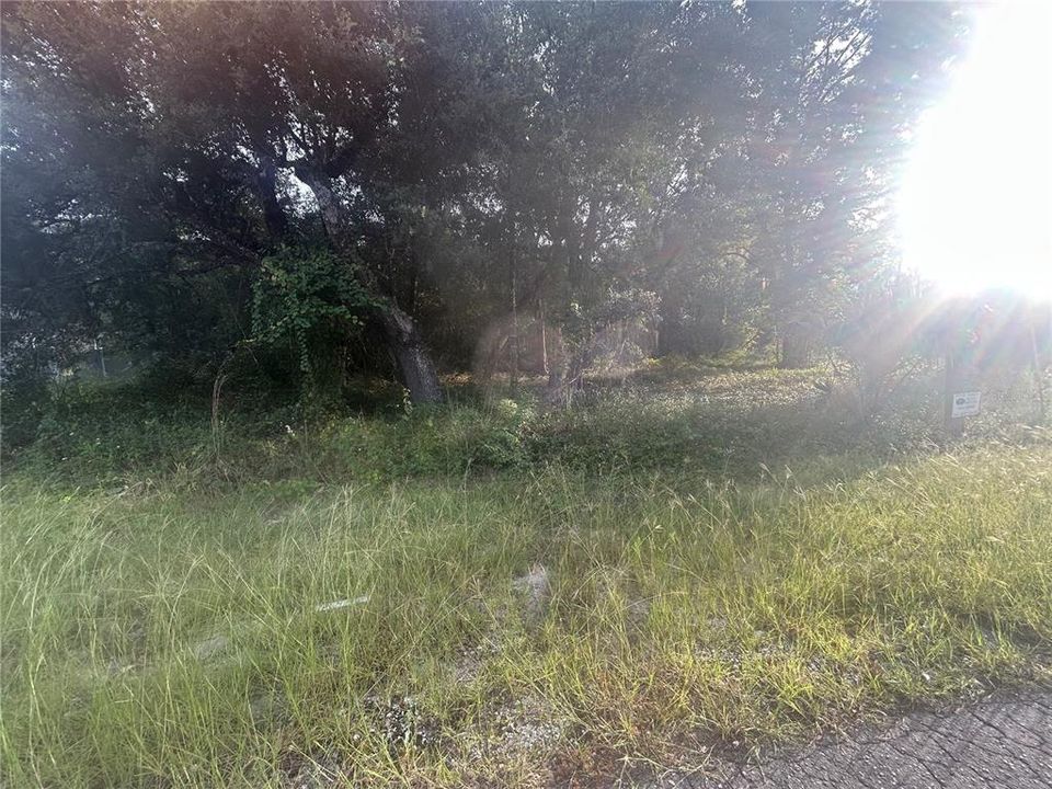 На продажу: $31,000 (0.23 acres)