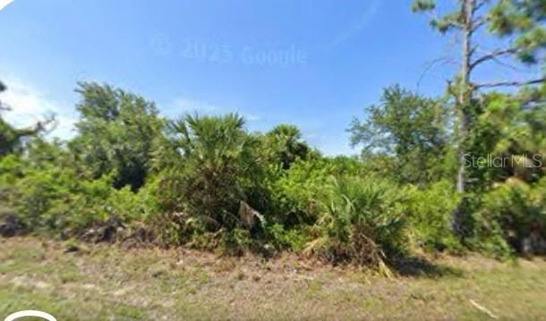 For Sale: $18,000 (0.23 acres)