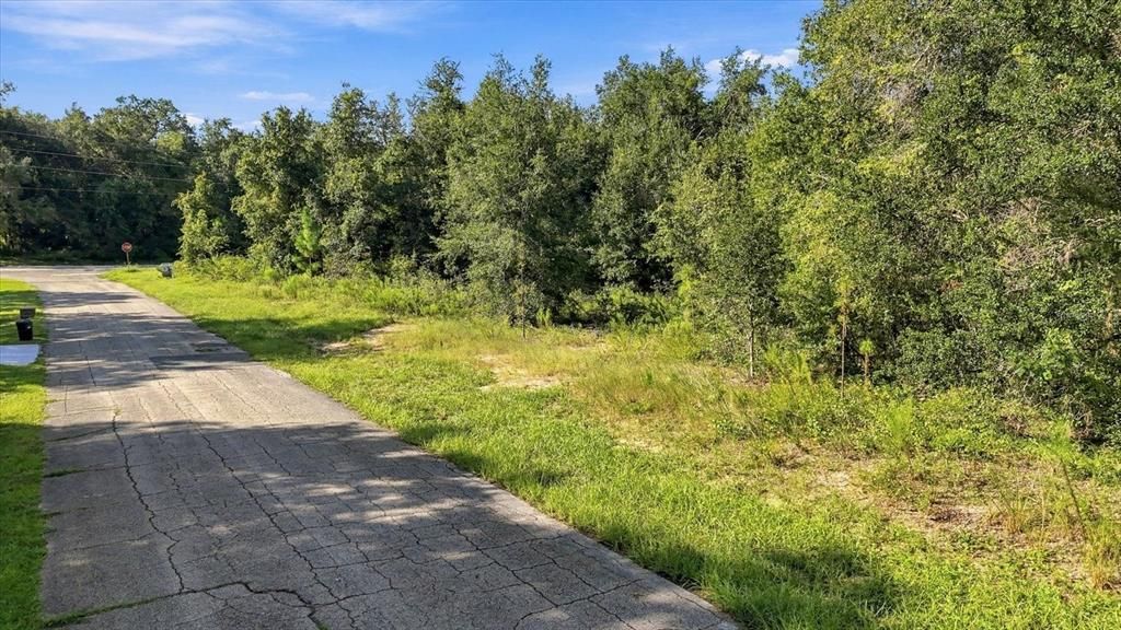 合同活跃: $119,900 (1.62 acres)