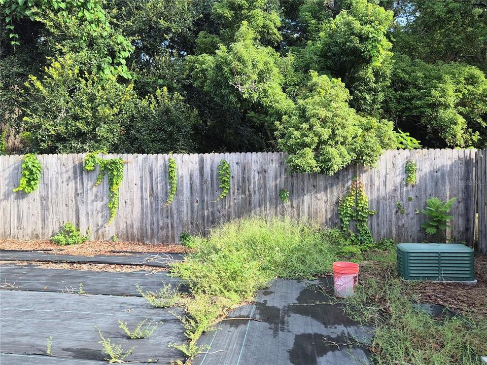 For Sale: $290,000 (3 beds, 2 baths, 1170 Square Feet)