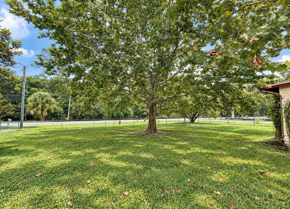 For Sale: $139,900 (2 beds, 1 baths, 916 Square Feet)
