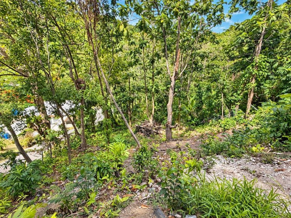 For Sale: $239,000 (2 beds, 1 baths, 1080 Square Feet)