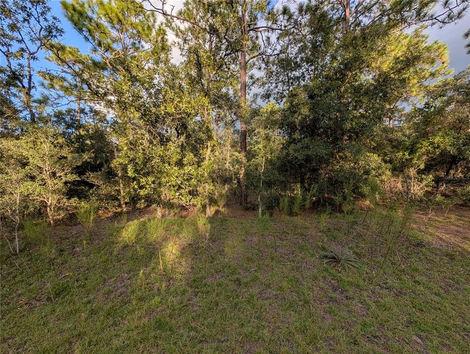 待售: $26,900 (0.32 acres)