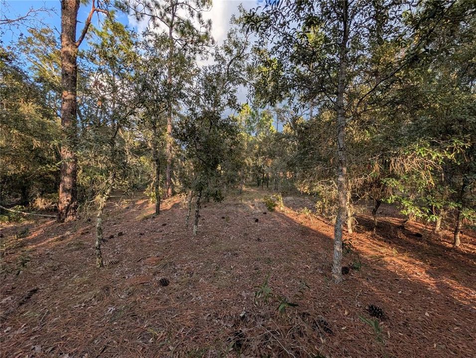 待售: $26,900 (0.32 acres)