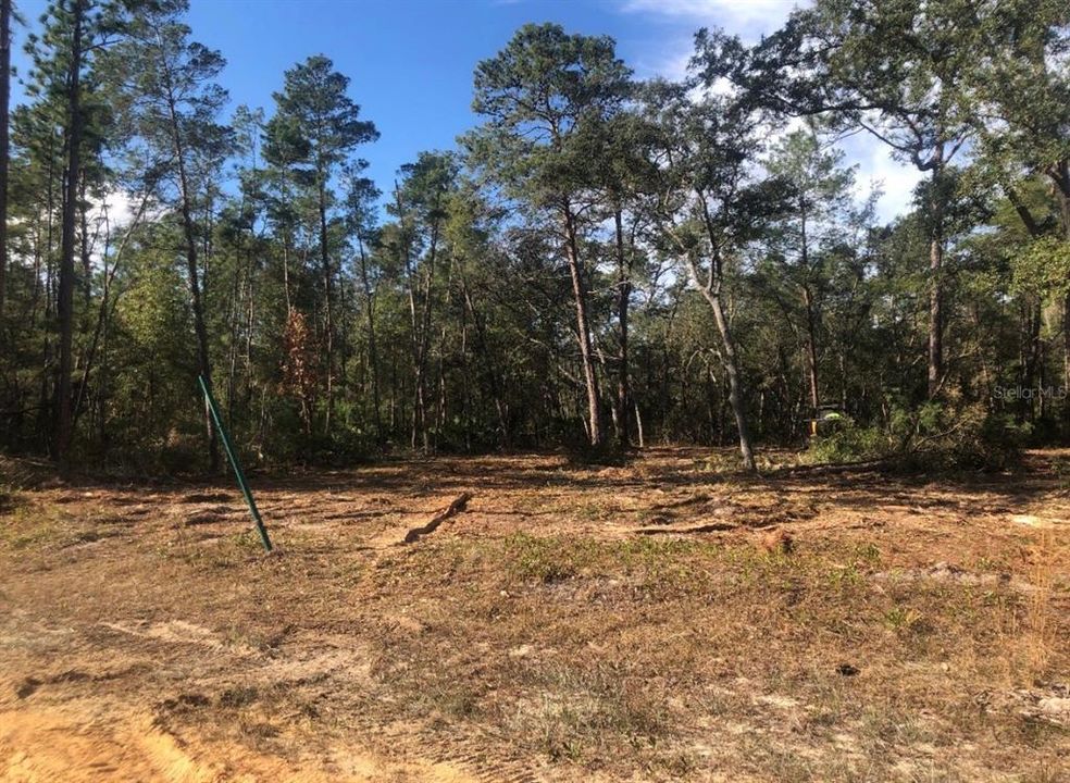 待售: $8,500 (0.22 acres)