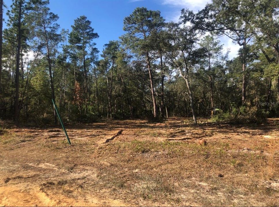 待售: $8,500 (0.22 acres)