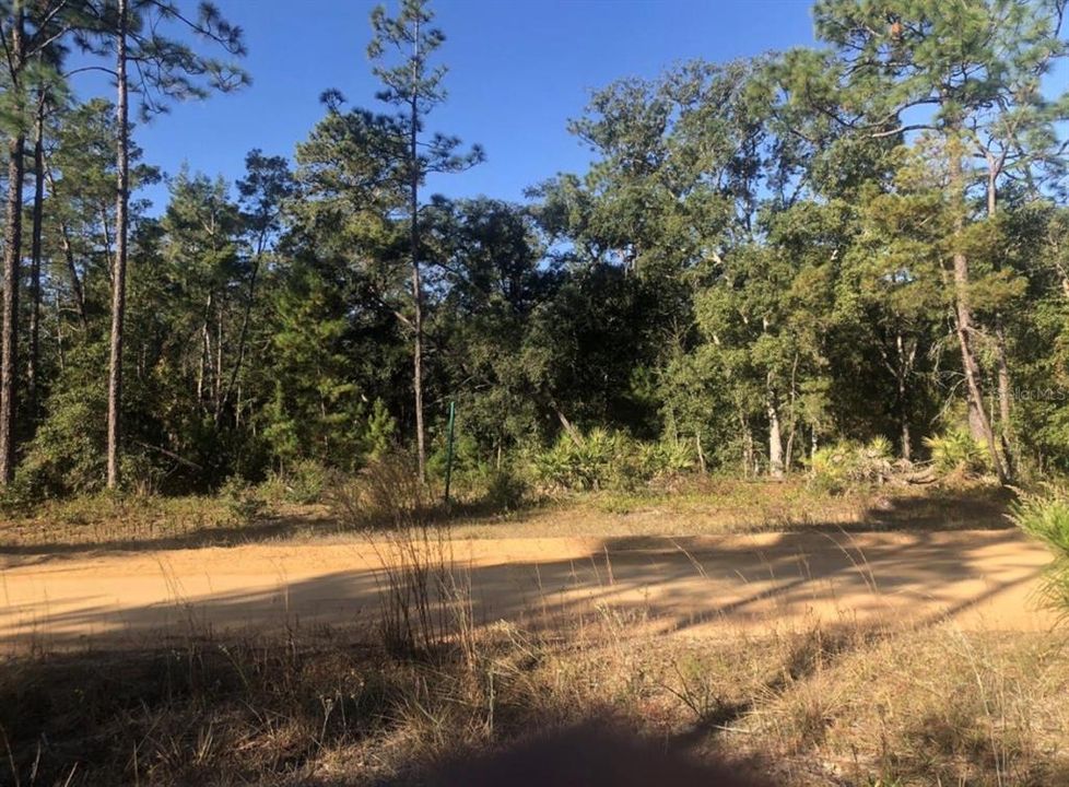 待售: $8,500 (0.22 acres)