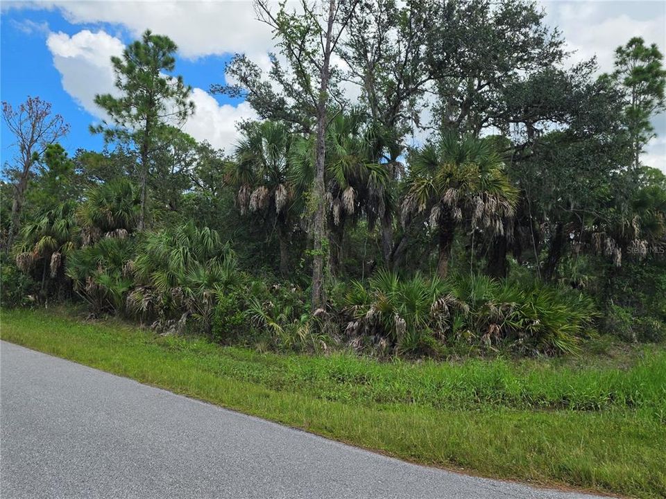 En Venta: $25,000 (0.30 acres)
