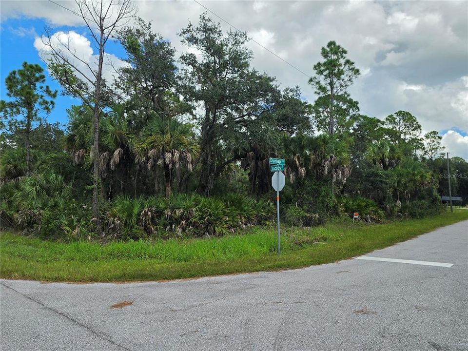 En Venta: $25,000 (0.30 acres)