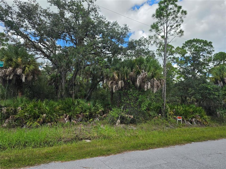 En Venta: $25,000 (0.30 acres)