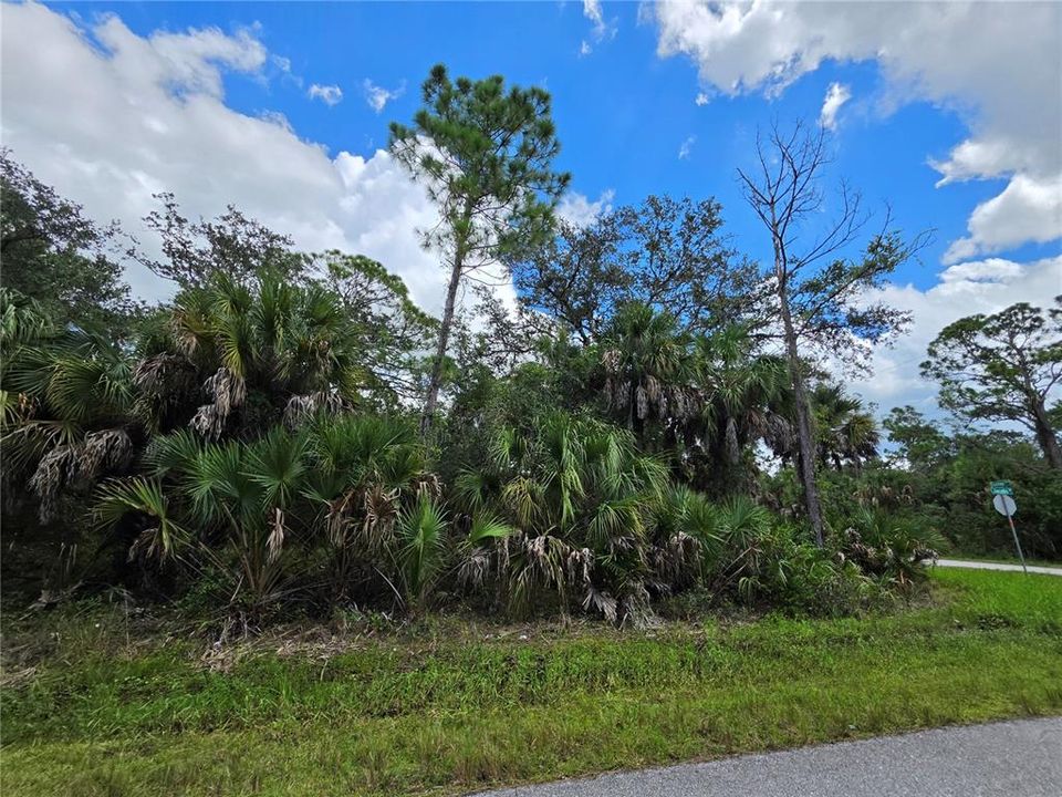 En Venta: $25,000 (0.30 acres)