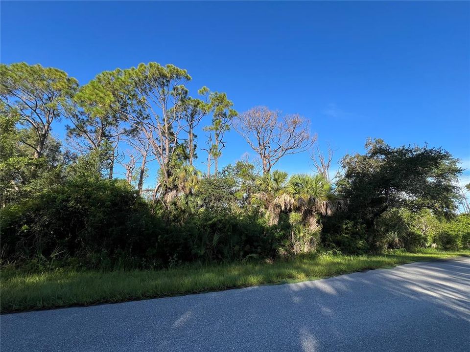 En Venta: $35,000 (0.32 acres)
