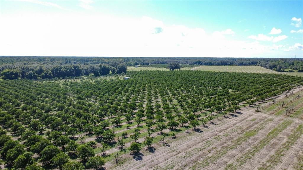 For Sale: $10,260,000 (228.00 acres)