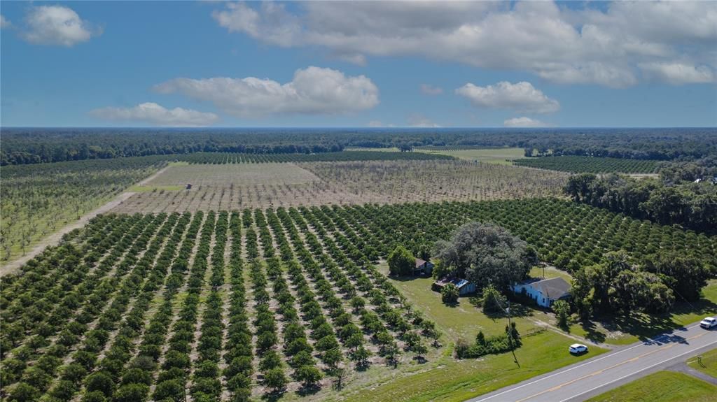 For Sale: $10,260,000 (228.00 acres)
