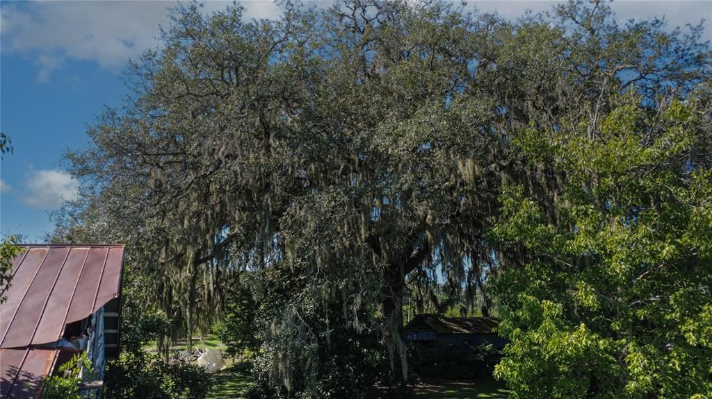 For Sale: $10,260,000 (228.00 acres)