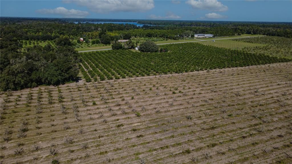 For Sale: $10,260,000 (228.00 acres)