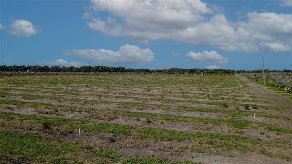 For Sale: $10,260,000 (228.00 acres)