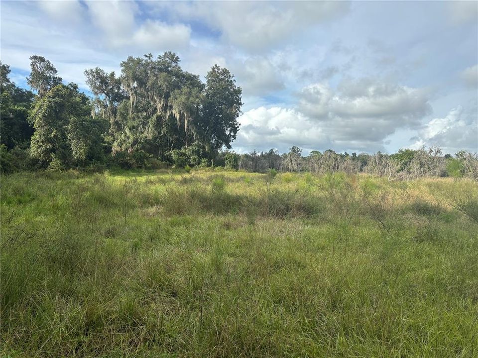 For Sale: $1,469,250 (32.65 acres)