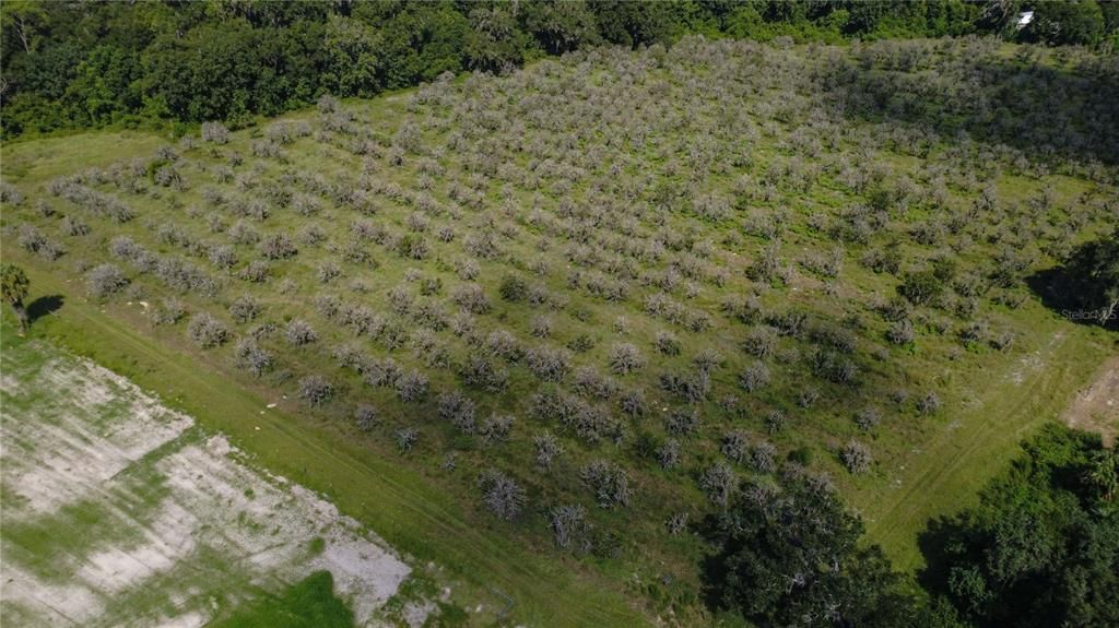 For Sale: $1,469,250 (32.65 acres)