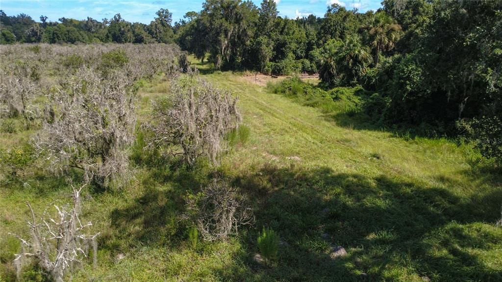 For Sale: $1,469,250 (32.65 acres)