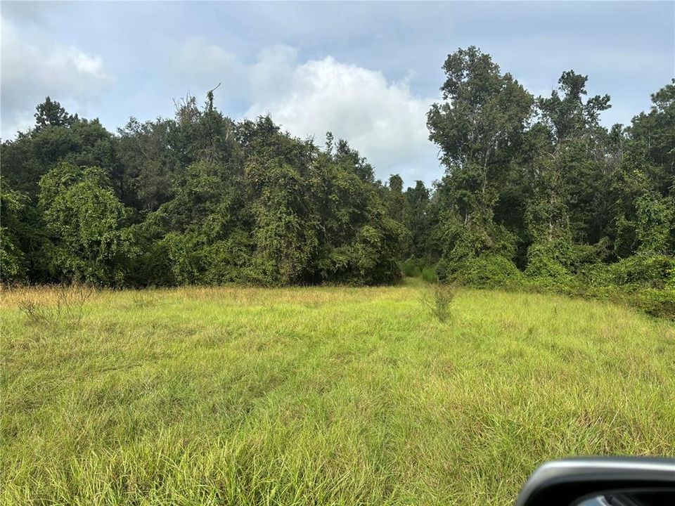 For Sale: $1,469,250 (32.65 acres)