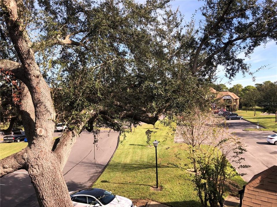 For Rent: $1,300 (1 beds, 1 baths, 644 Square Feet)