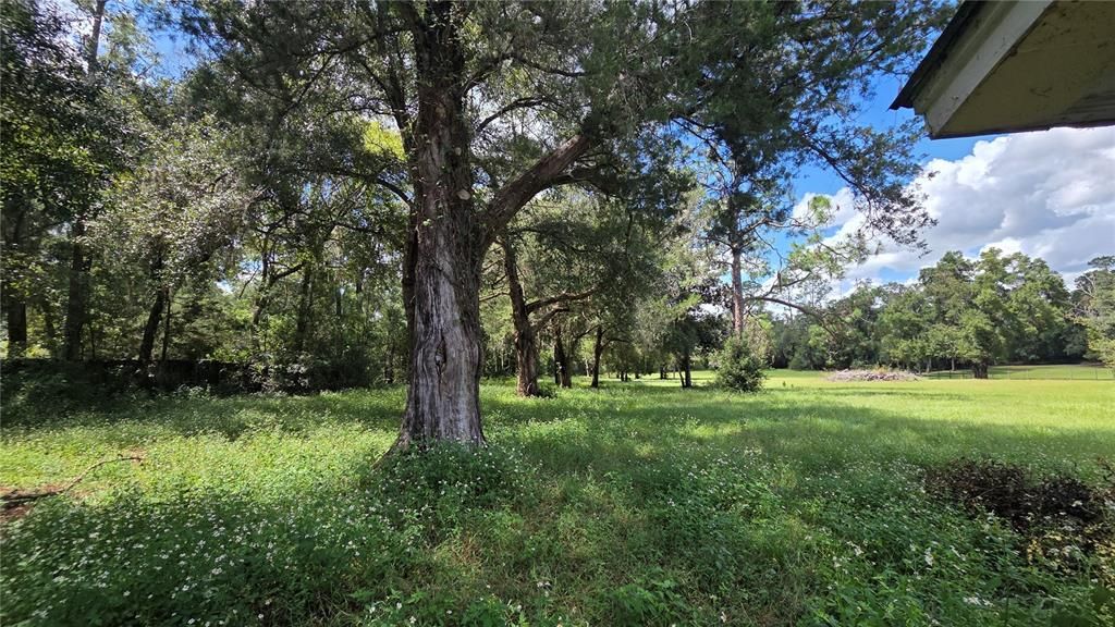 For Sale: $265,000 (3 beds, 2 baths, 1518 Square Feet)