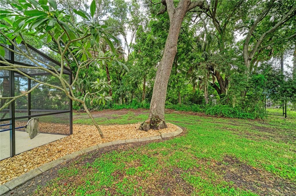 En Venta: $499,900 (3 camas, 2 baños, 1584 Pies cuadrados)