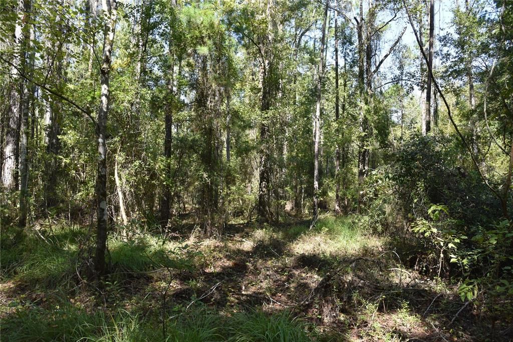 En Venta: $374,900 (58.00 acres)