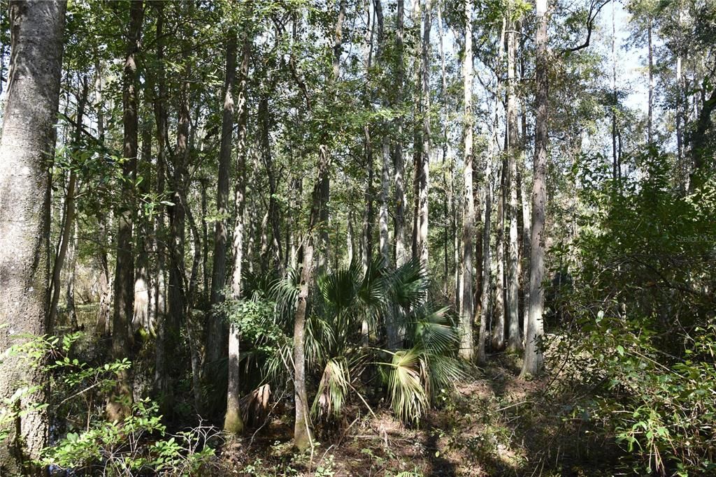 En Venta: $374,900 (58.00 acres)