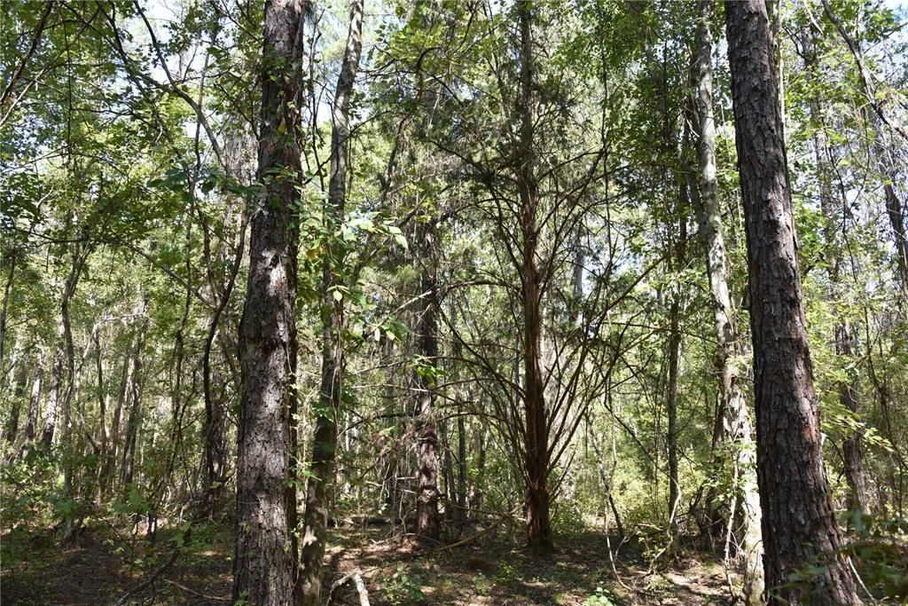 En Venta: $374,900 (58.00 acres)