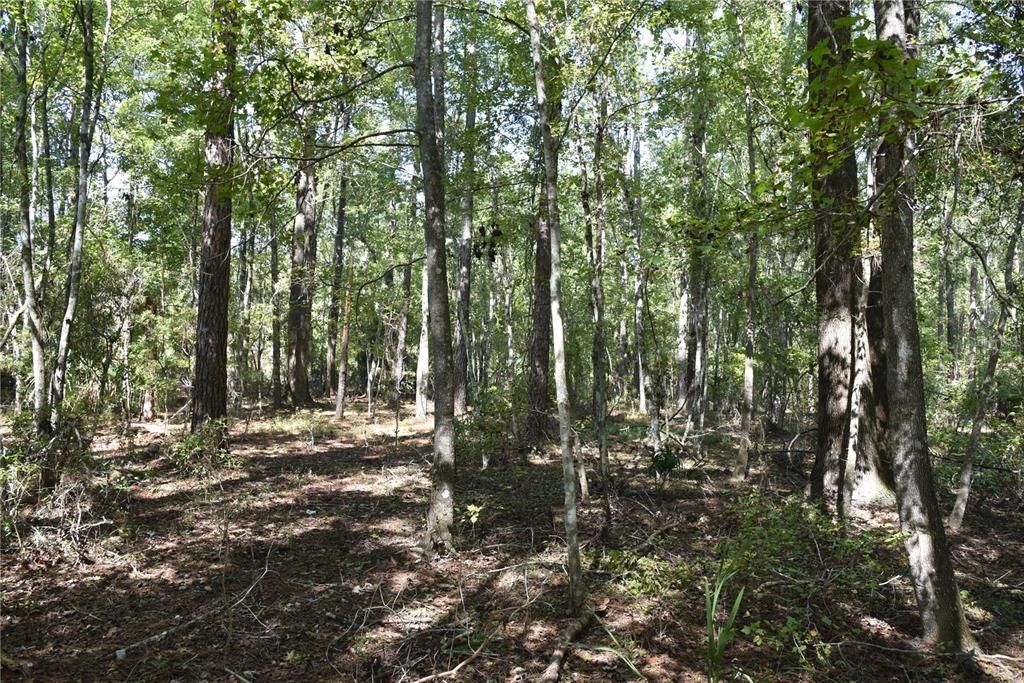 En Venta: $374,900 (58.00 acres)
