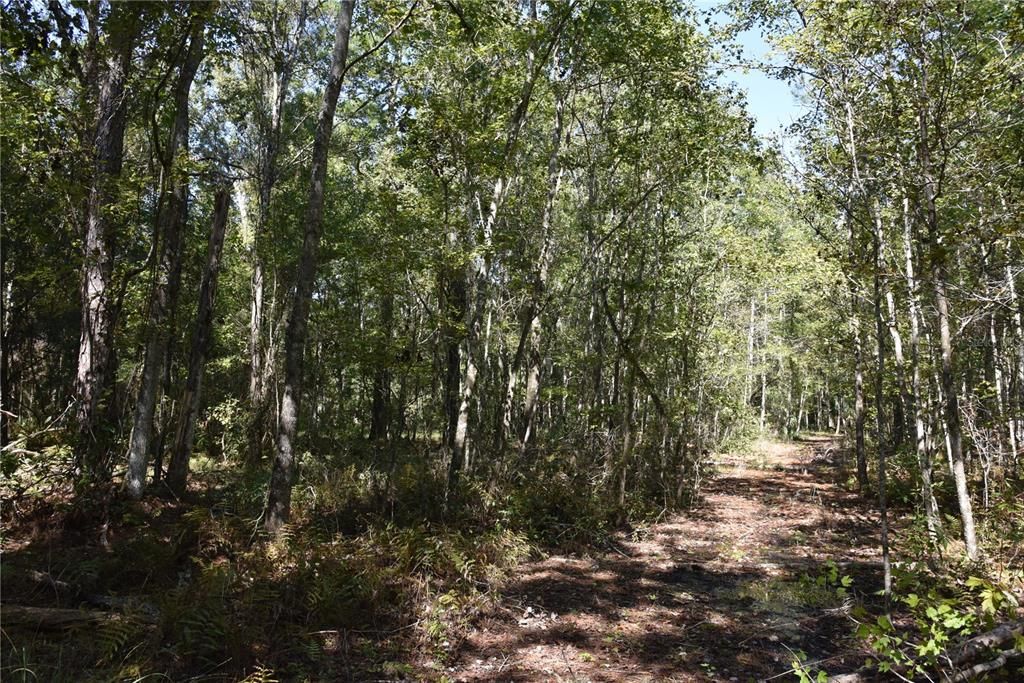 En Venta: $374,900 (58.00 acres)