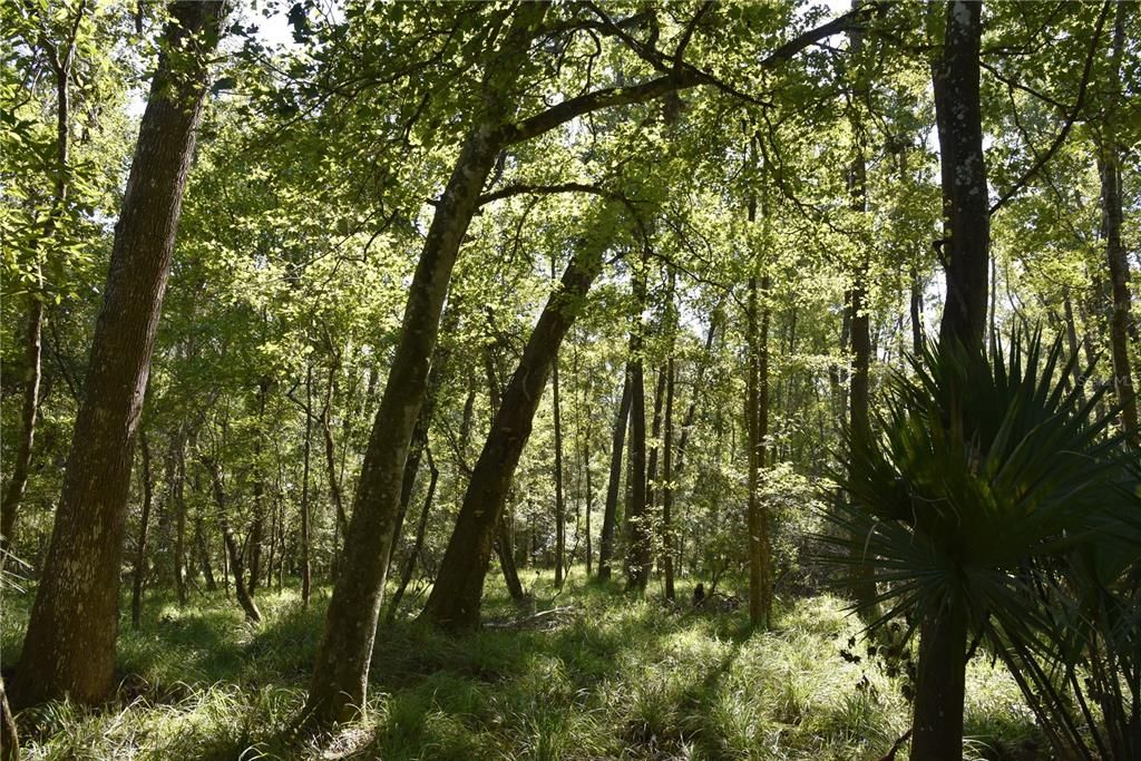 En Venta: $374,900 (58.00 acres)