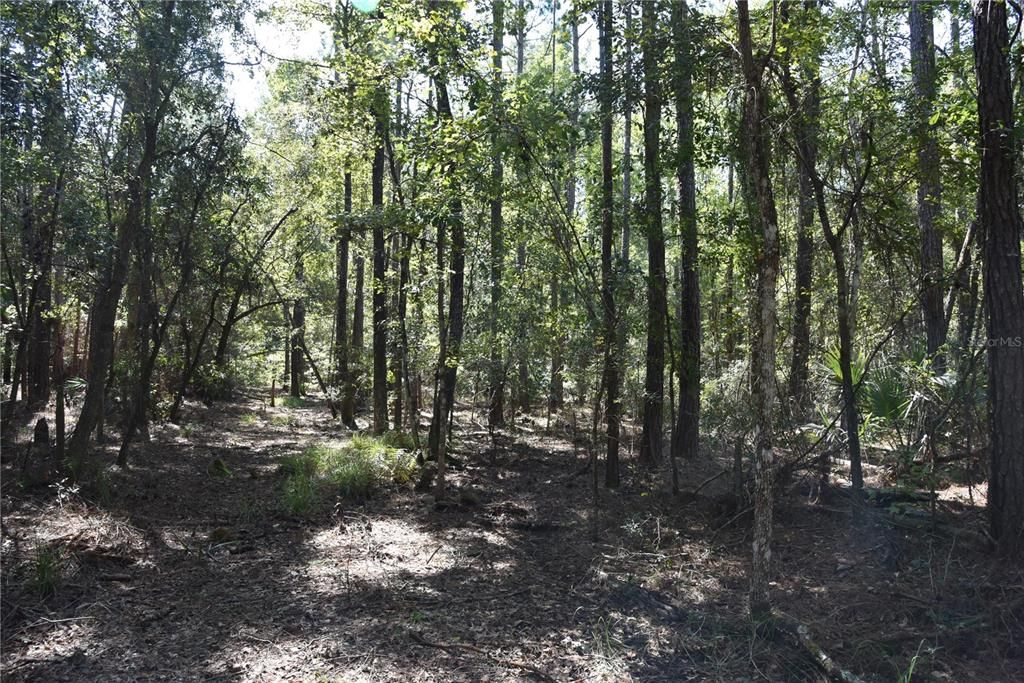 En Venta: $374,900 (58.00 acres)