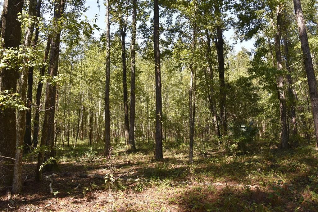 En Venta: $374,900 (58.00 acres)