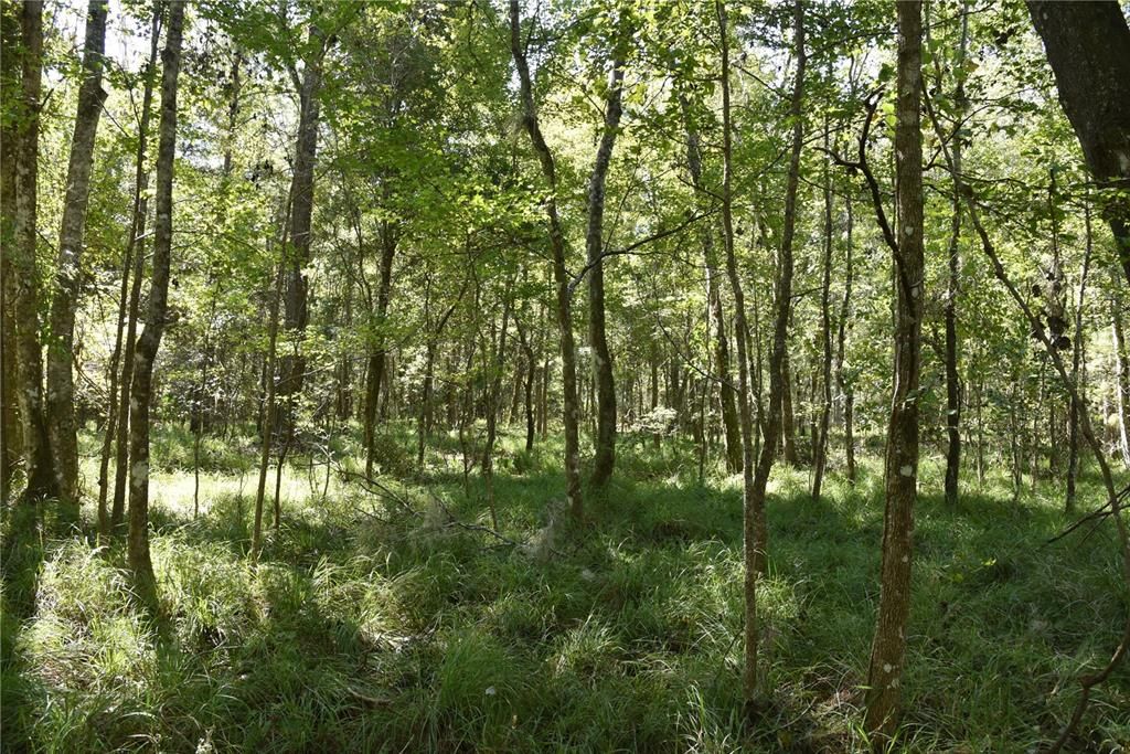 En Venta: $374,900 (58.00 acres)